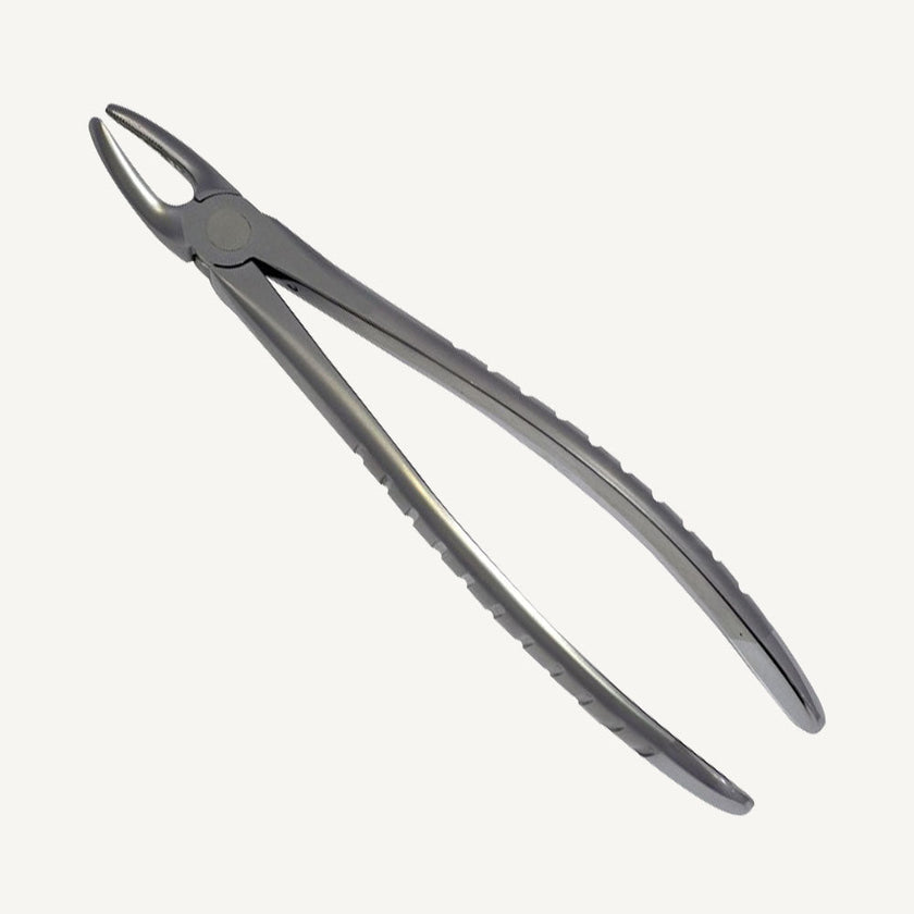 7 Upper Premolars Forceps