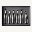 Extraction Forceps Set (Serrated)