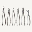 Extraction Forceps Set (Serrated)