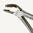 Extraction Forceps Set (Serrated)
