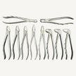 Extraction Forceps Set