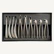Extraction Forceps Set