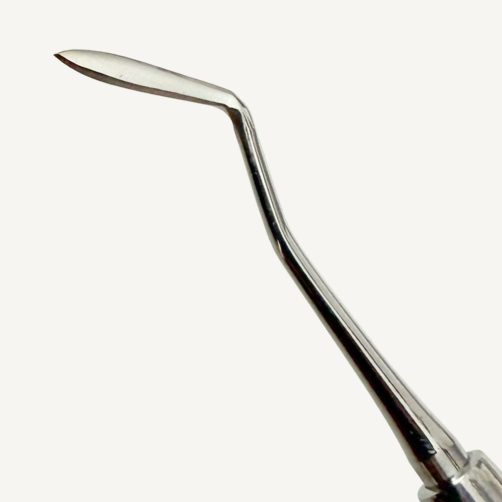 Hollenback Carver 3
