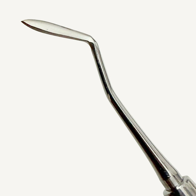Hollenback Carver 3