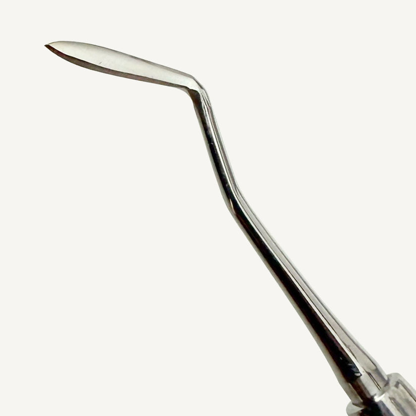 Hollenback Carver 3
