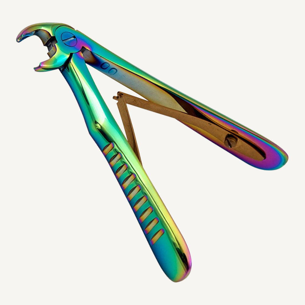 Lower Molars And Premolars