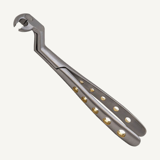 Lower Molars And Wisdom Right Forceps
