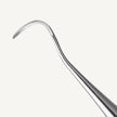 McCall Curette 17/18