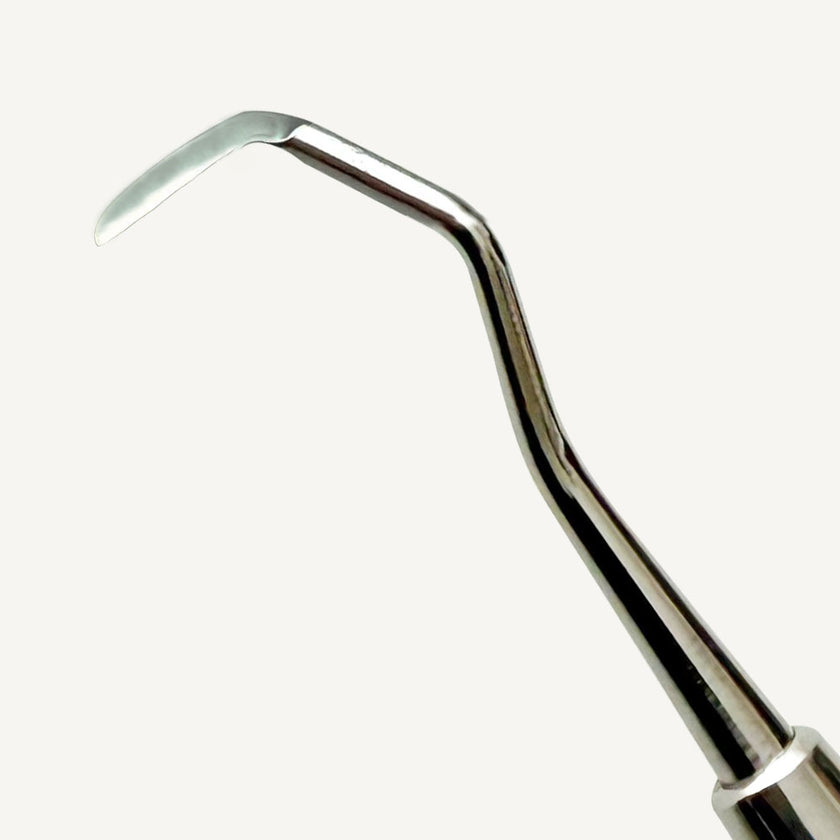 Tanner 6 Carving Knife