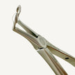 Extraction Forceps Lower Roots