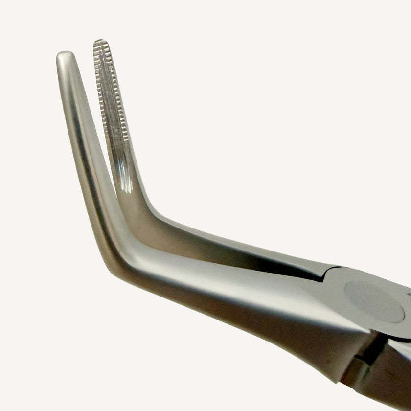 Lower Roots Fragments Extraction Forceps