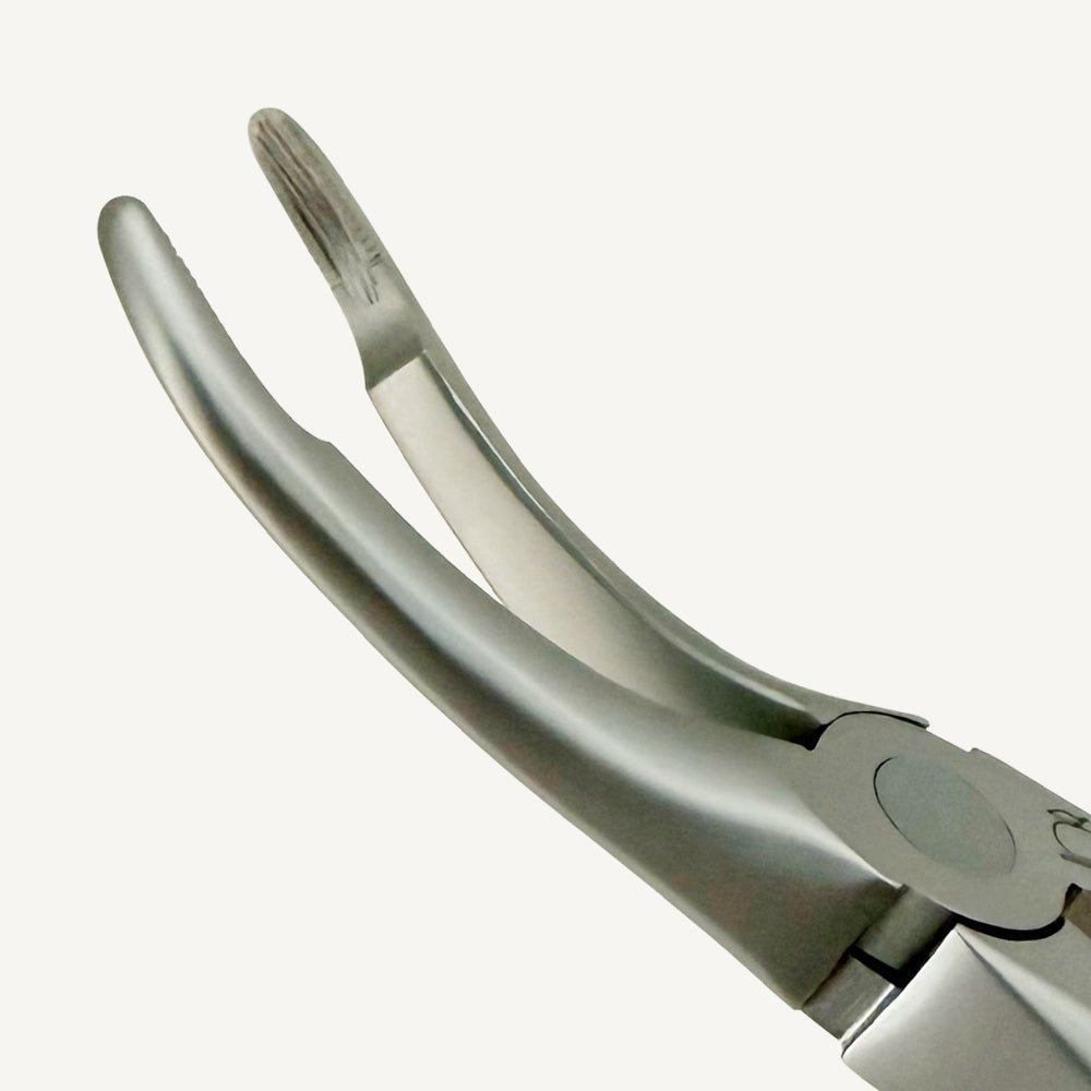 Upper Roots Fragments Extraction Forceps