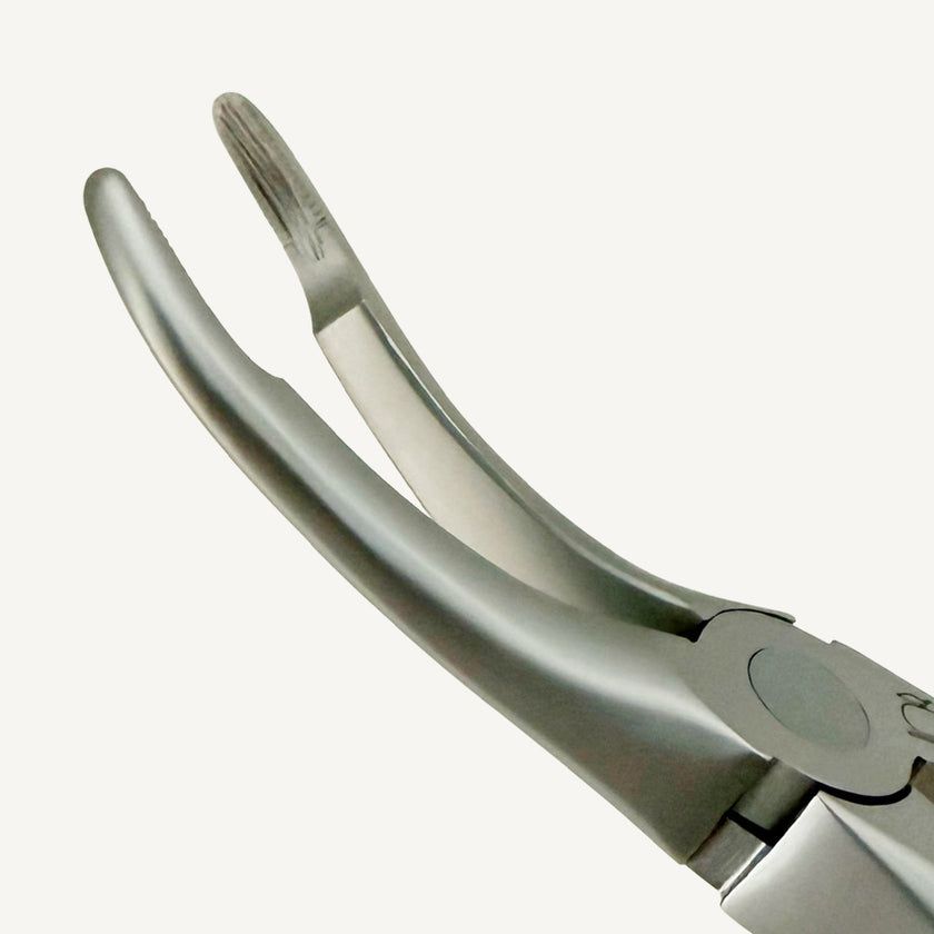 Upper Roots Fragments Extraction Forceps