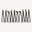 Doctor Naef’s Extracting Forceps Set