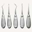 Hylin Root Elevators Set