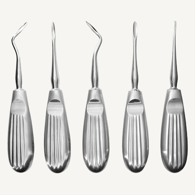 Hylin Root Elevators Set