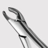 151A Cryer Forceps