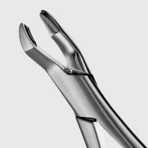 53R Upper Molar Forceps