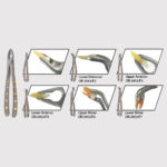 Apical Extraction Forceps Set