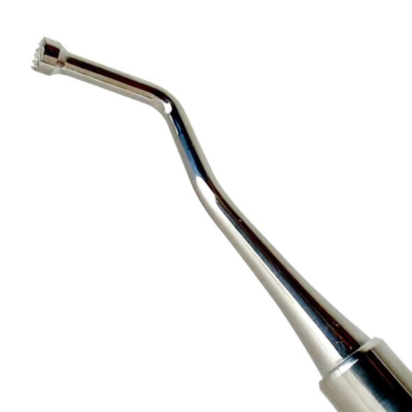 Graft Packer