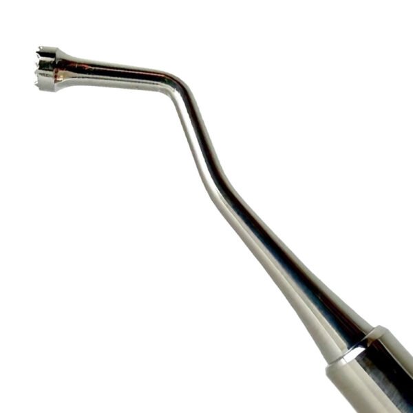 Graft Packer
