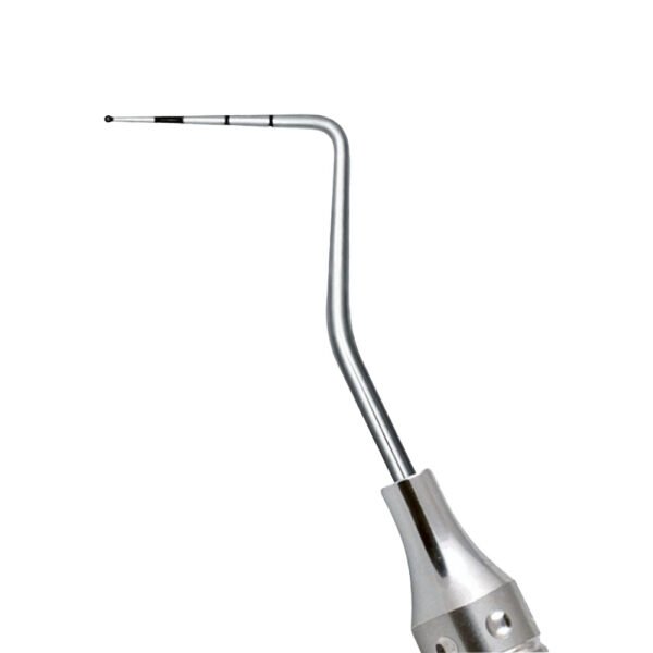 Williams/WHO Probe DE