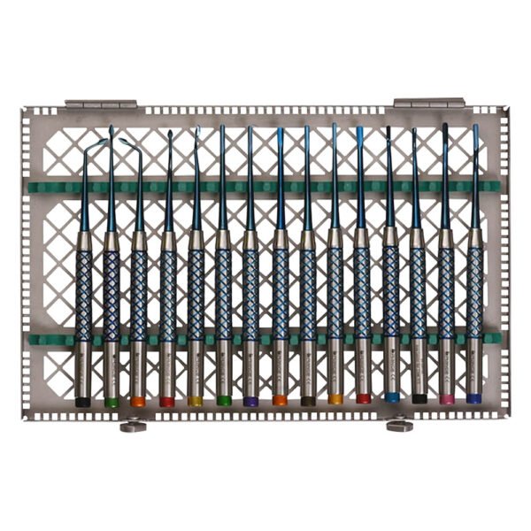 PDL Luxating Elevators Set Blue