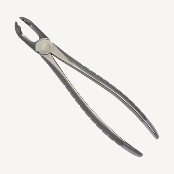 79 Lower 3rd Molars Forceps