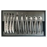 Extraction Forceps Set